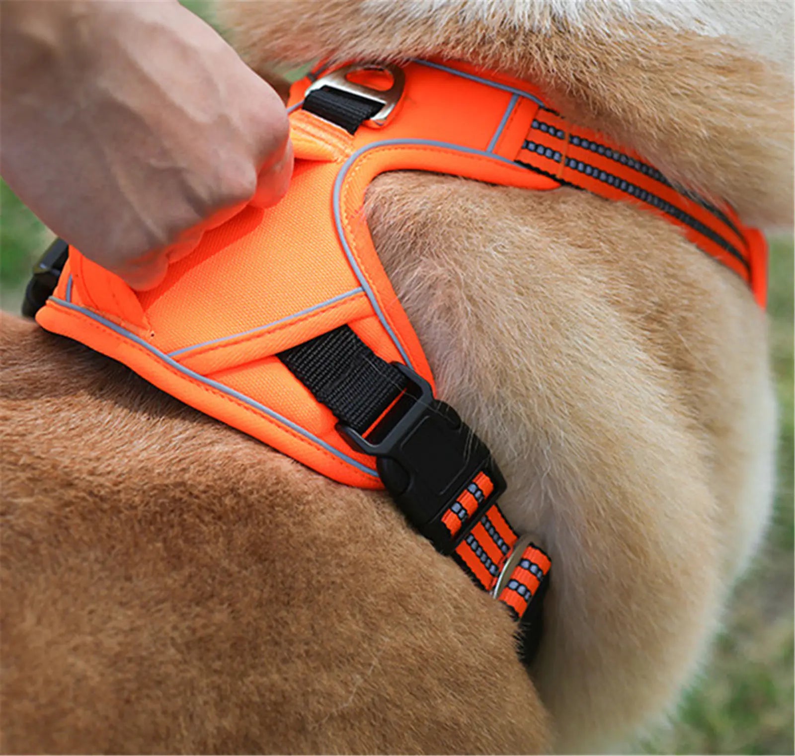 Arnés waterproof para perro
