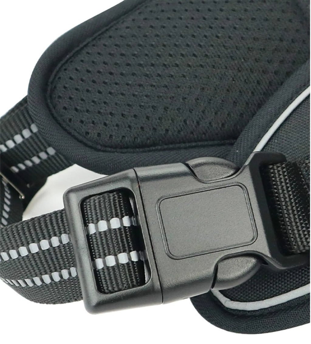 Arnés waterproof para perro